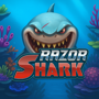 Razor Shark Online